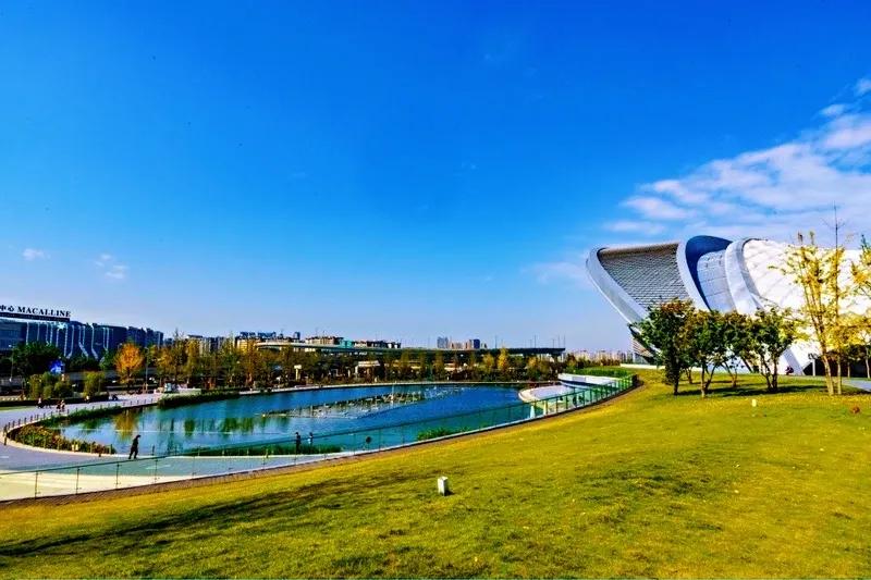 老成都的回忆完整版,老成都的记忆电烤肉串