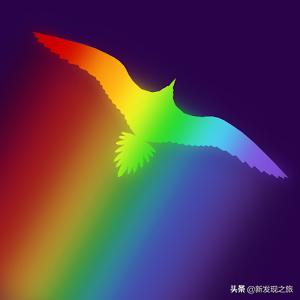 世上真的有长生不老液吗,世上真有长生不老术吗