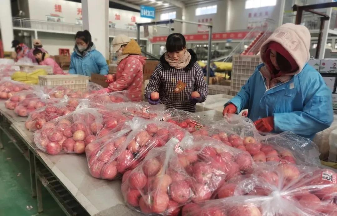 美域高生物科技有限公司,美域高生物科技公司