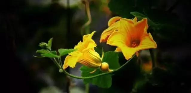 教学艺术的最高境界,艺术的最高境界是什么