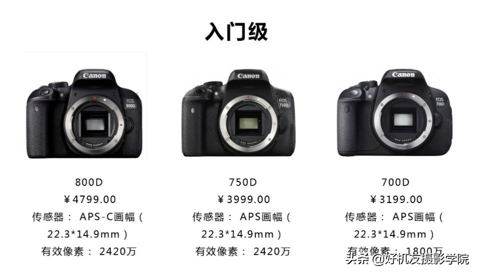 摄影小白要懂得的10个摄影知识,摄影小白的学习