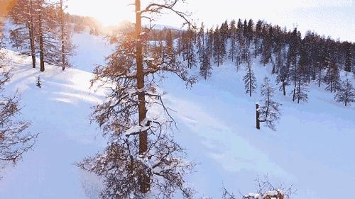 鍫瘮鐟炲+鐨勪腑鍥芥粦闆満,濯茬編鐟炲+