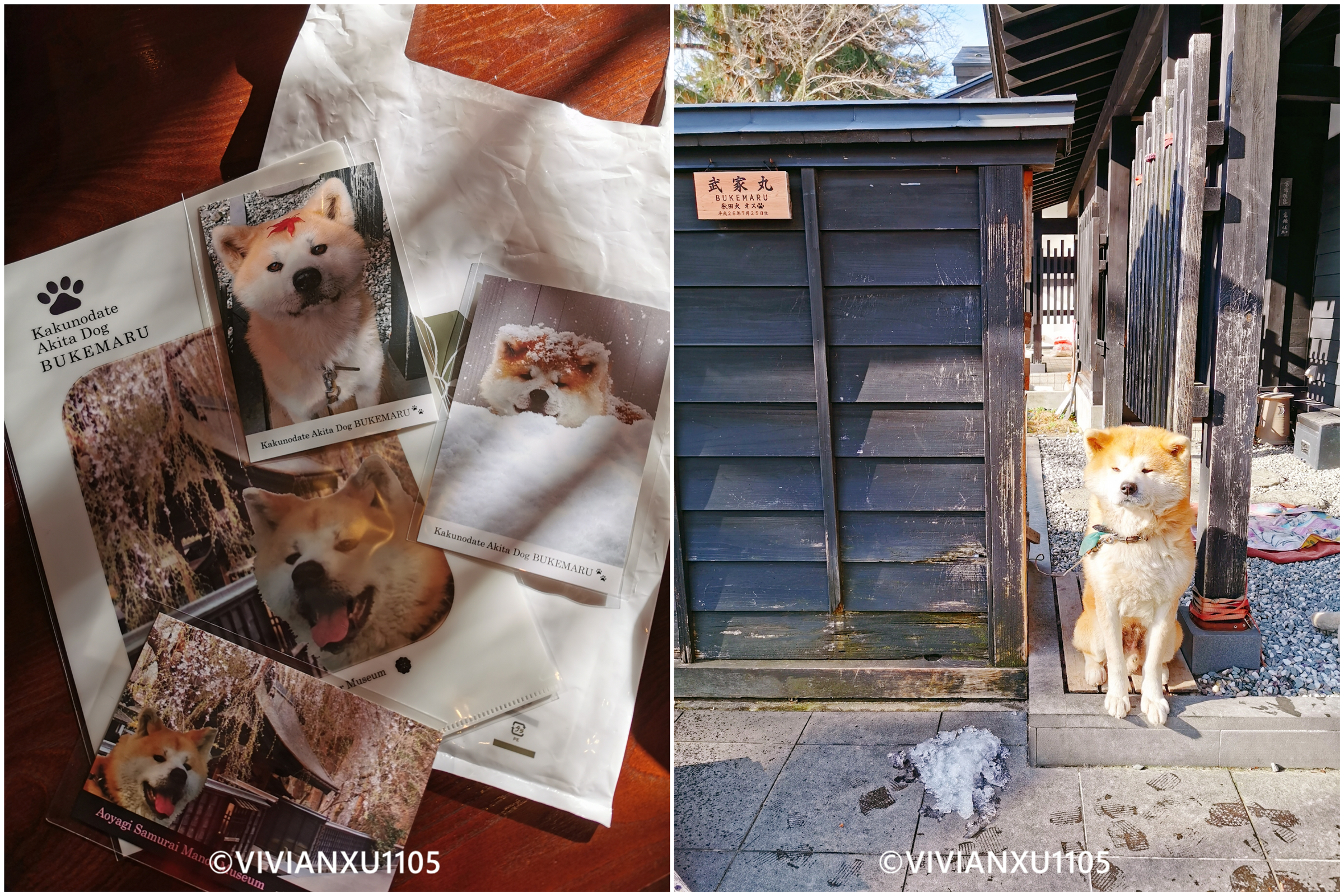 塑料母女日本东北深度游（秋田山形）