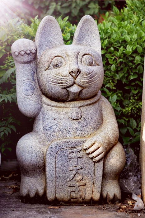 招财猫说实话,招财猫有什么猫腻