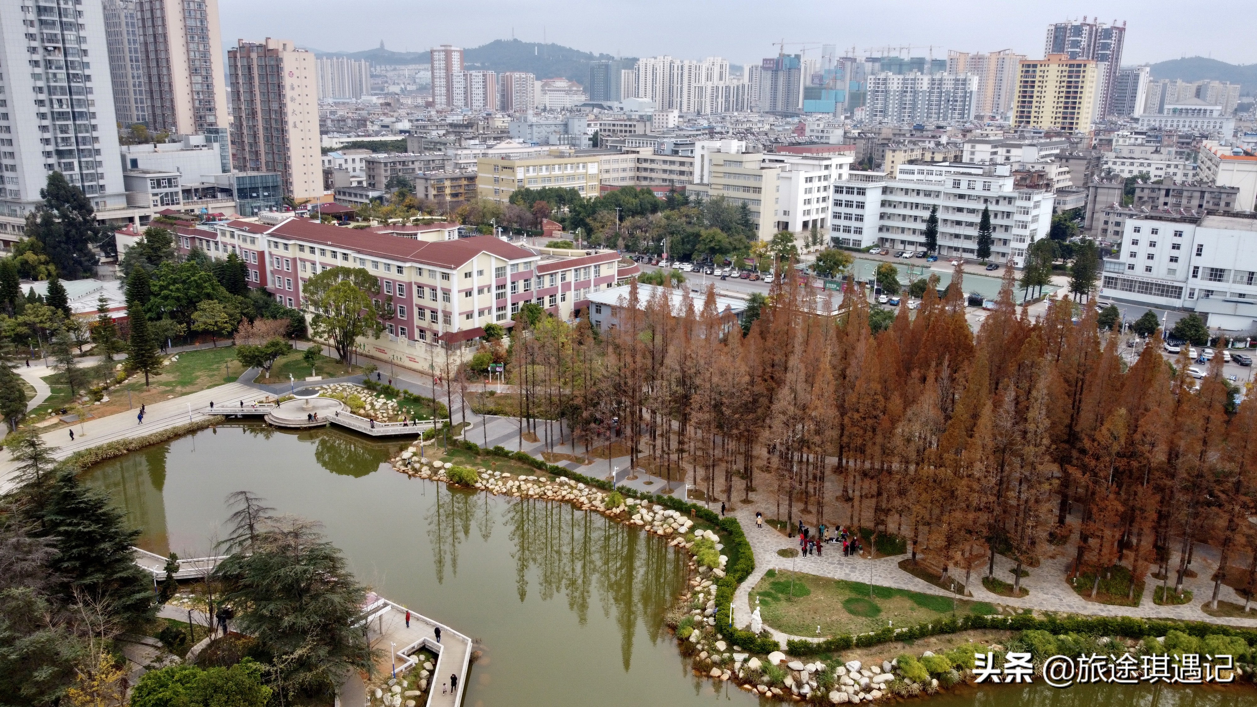 来玉溪的感受,来玉溪感受生物多样性之美