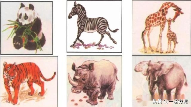 学拼音幼小衔接拼音认读,汉语拼音音节幼小衔接大班