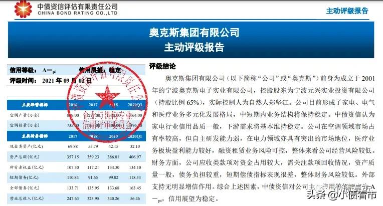 奥克斯负债多少,奥克斯集团利润