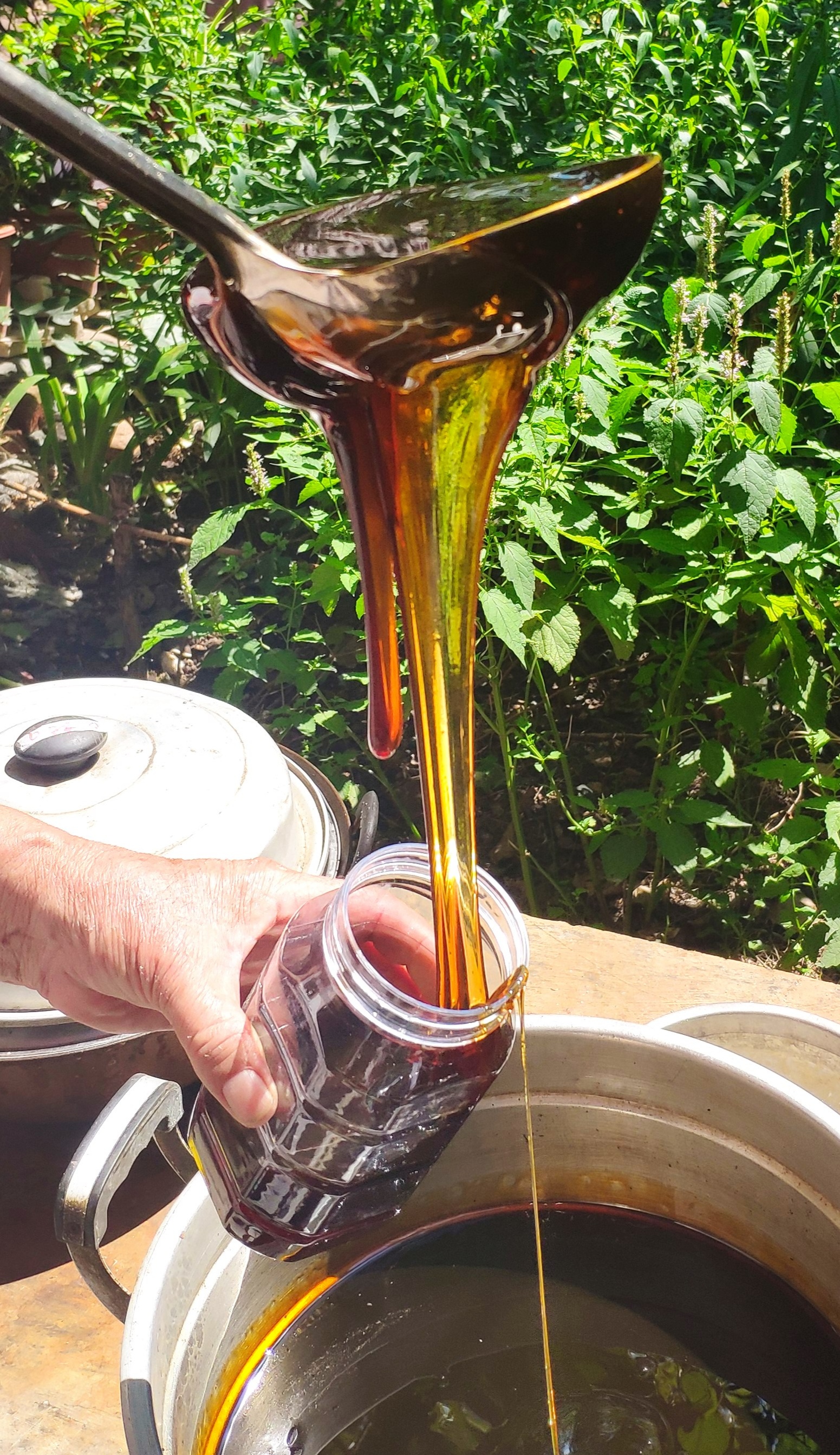 道医精诚——记全真华山派24代道医贺运生