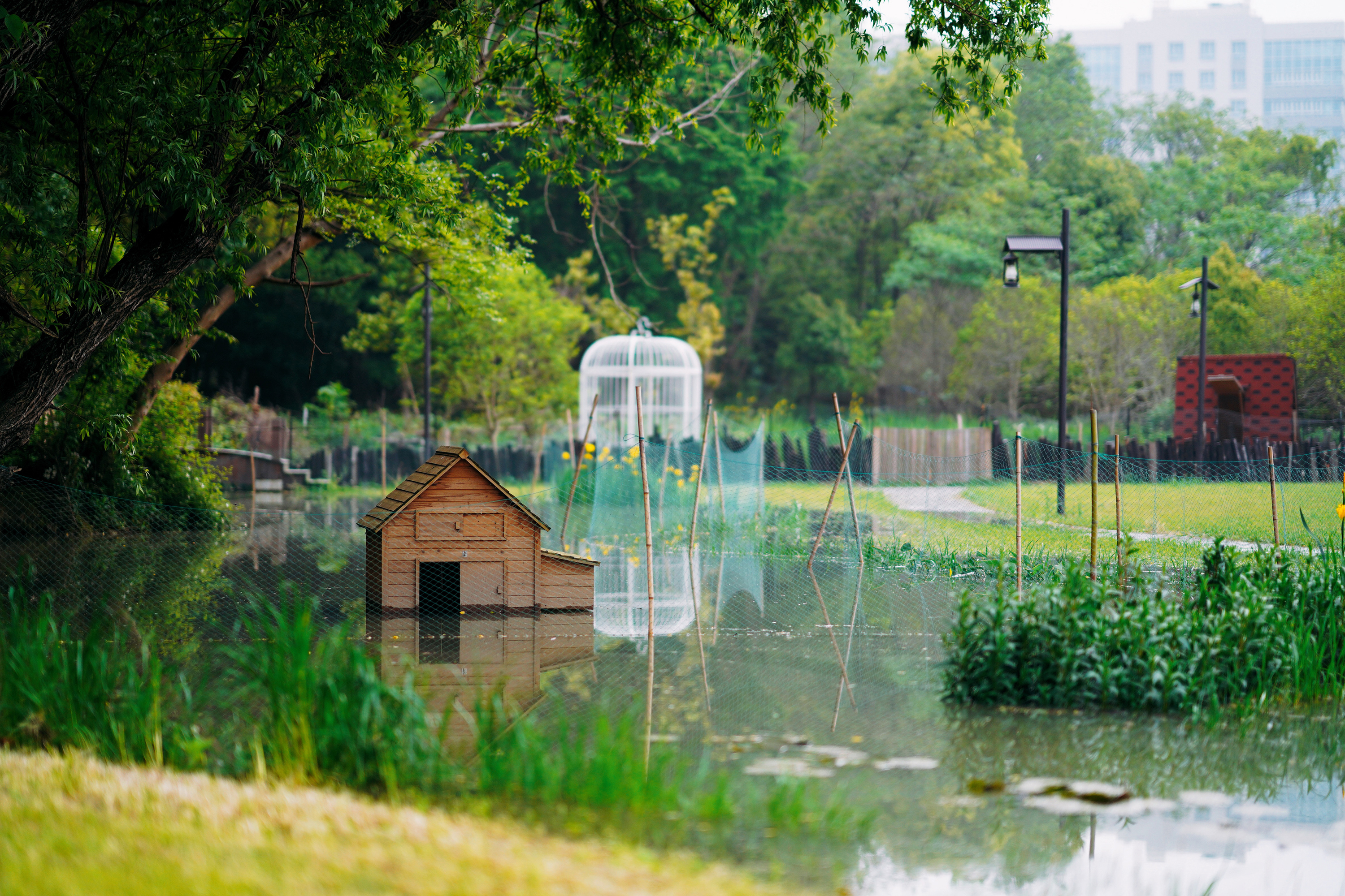 送你一份不走寻常路的苏州攻略，田园风民宿+文艺小清新打卡地