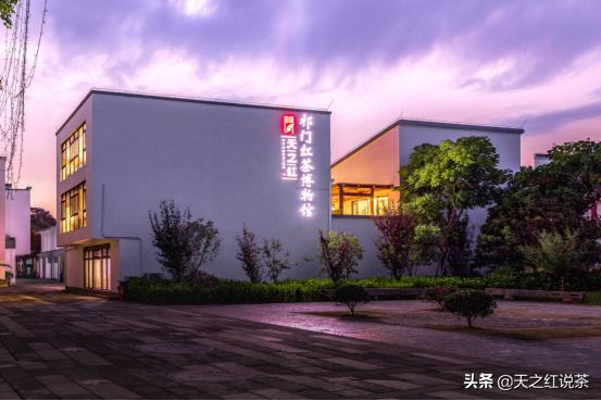 祁门红茶之旅,寻茶记冰岛