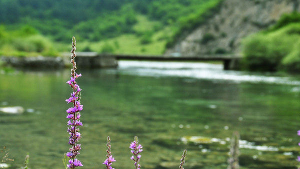 成都九寨沟几月份去好,九寨沟和稻城几月份去