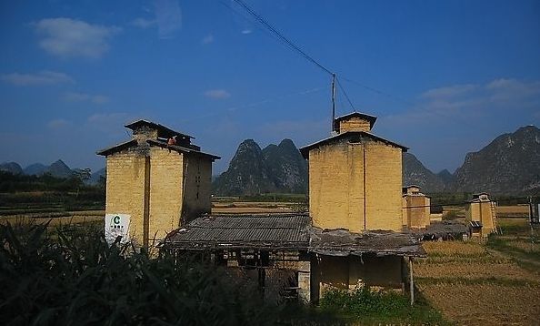 烟里面的烟丝能干些什么,为什么烟里的烟丝到处都是