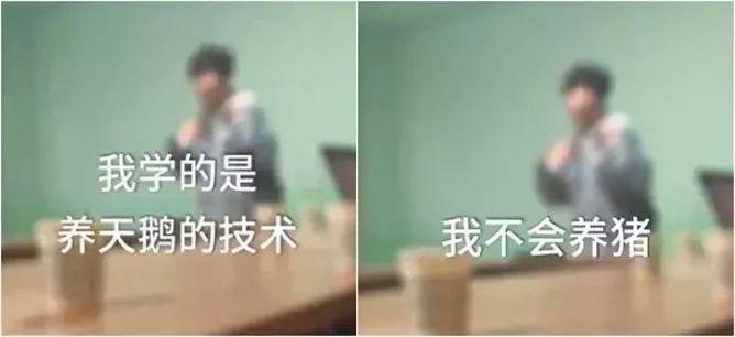 不收择校费的幼儿园,公立幼儿园不收贫困户小孩吗