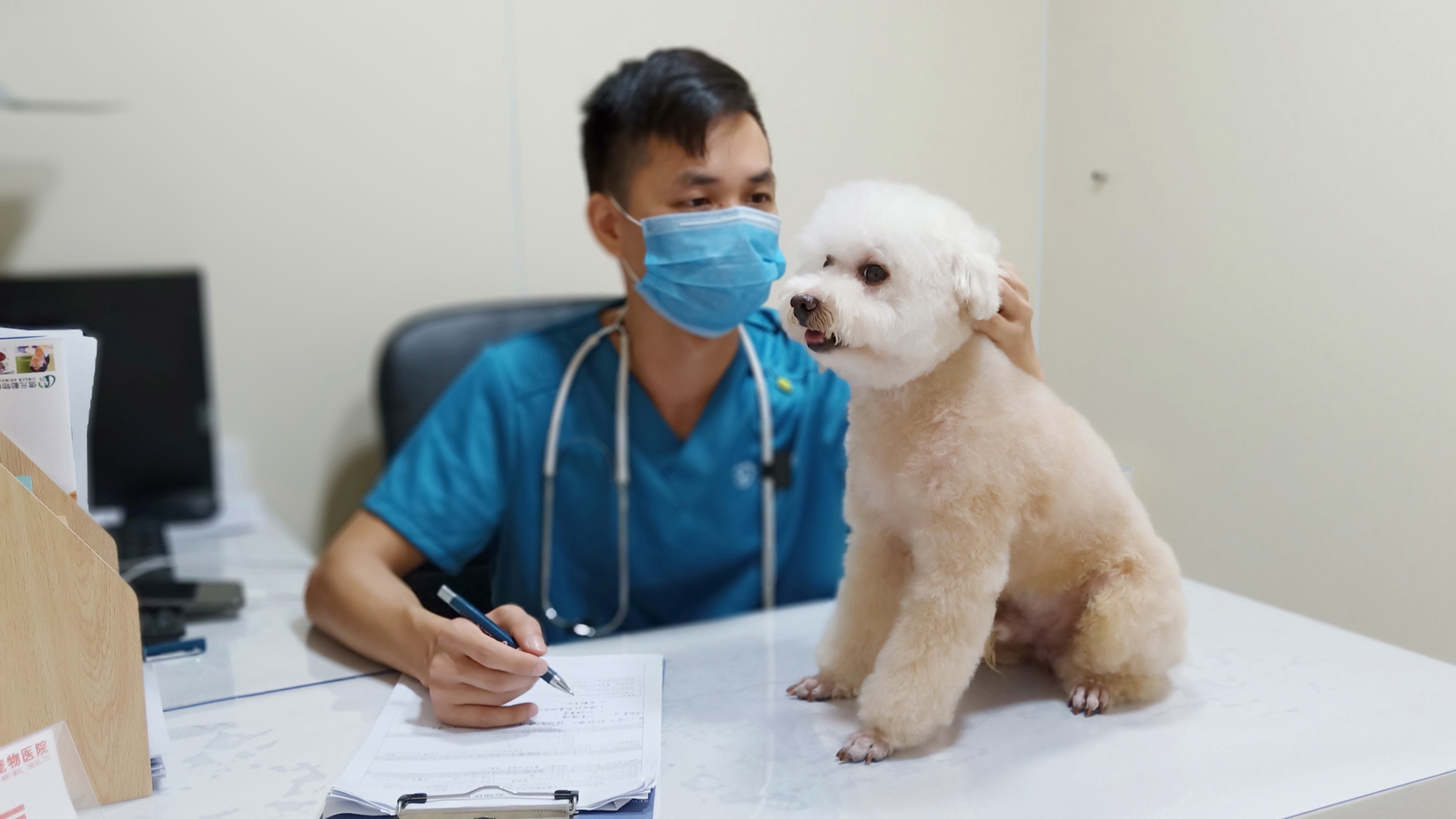 狗腹泻呕吐怎么回事,狗狗感冒呕吐怎么治疗