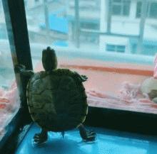 岁月是把杀猪刀gif,岁月是一把杀猪刀mv