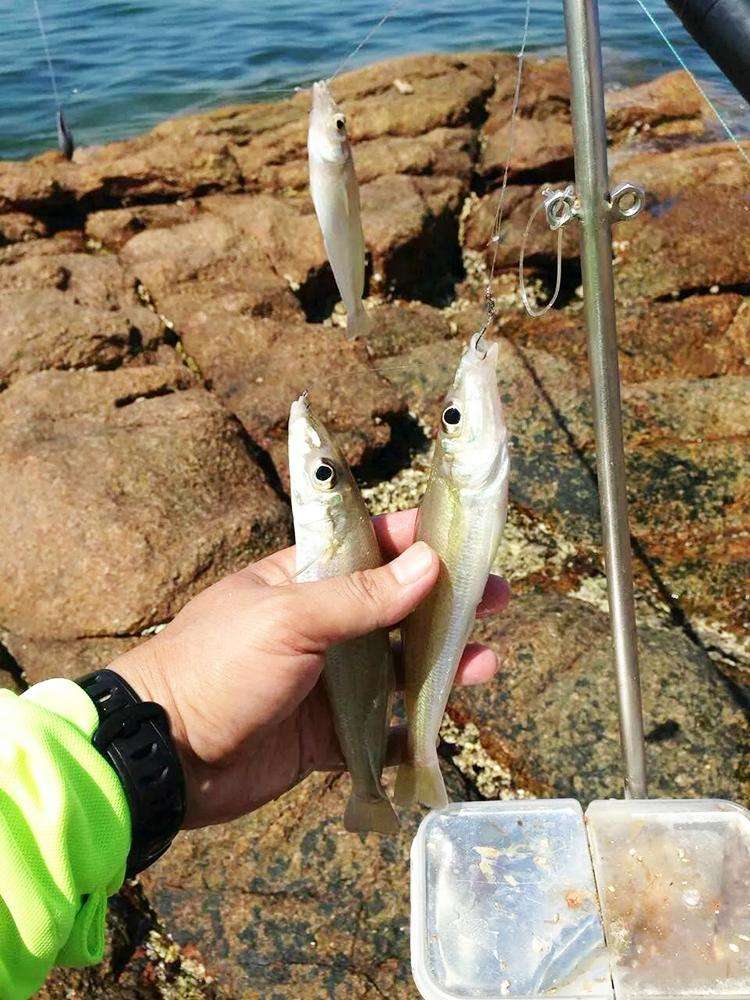 海边钓鱼技巧和方法,感受不到钓鱼的乐趣怎么办