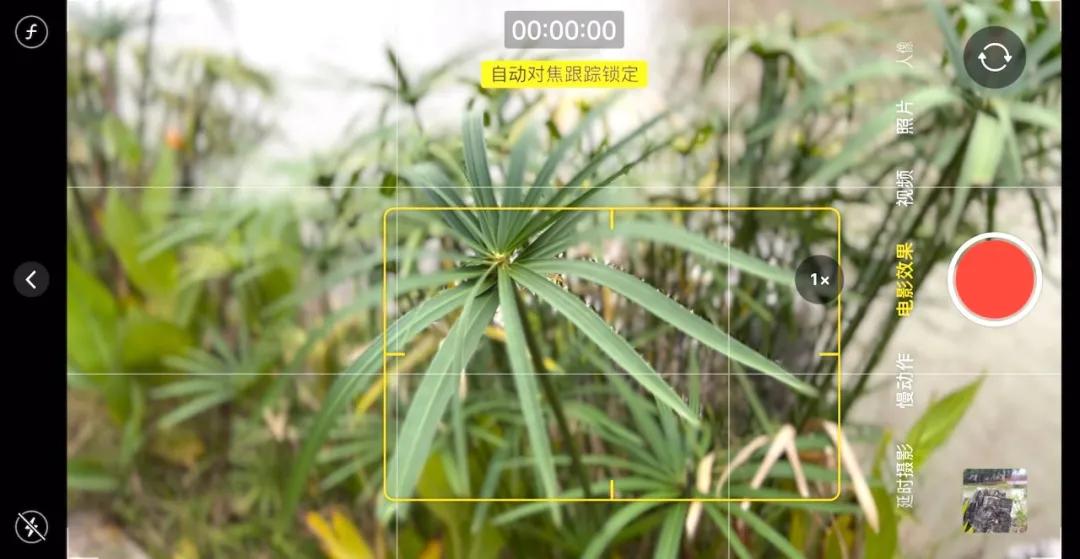 新手iphone必调设置,苹果自带相机拍摄技巧