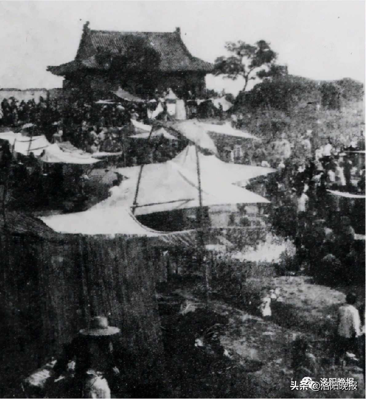 一分钟看河南洛阳,一日看遍洛阳