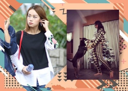 黄心颖现在真的回香港吗,曝黄心颖将出国定居