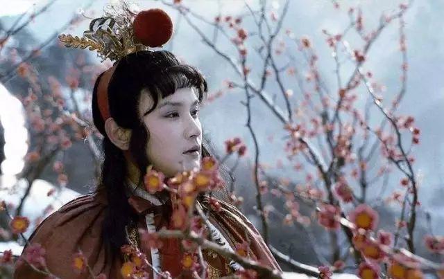 红楼梦英译欣赏,英文版红楼梦古诗