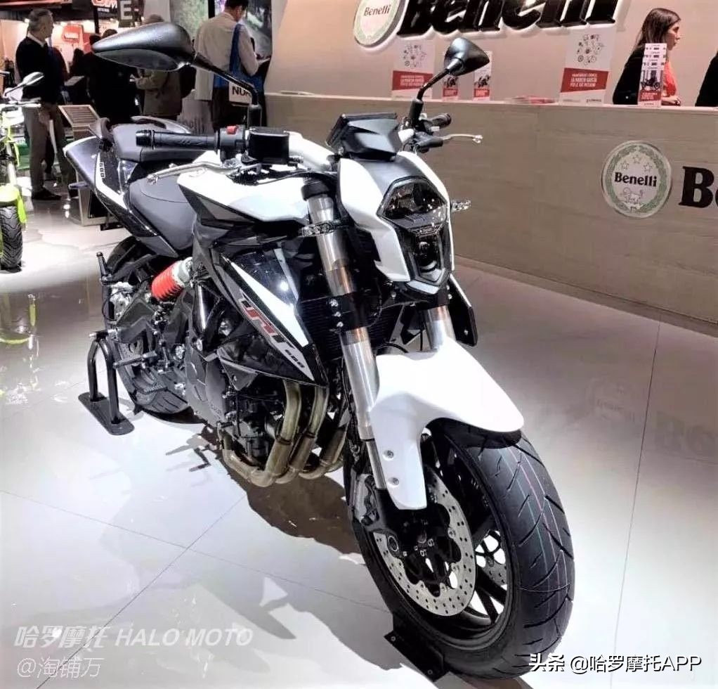 贝纳利752和石缸黄龙600哪个值得买,24年新款贝纳利黄龙600测评