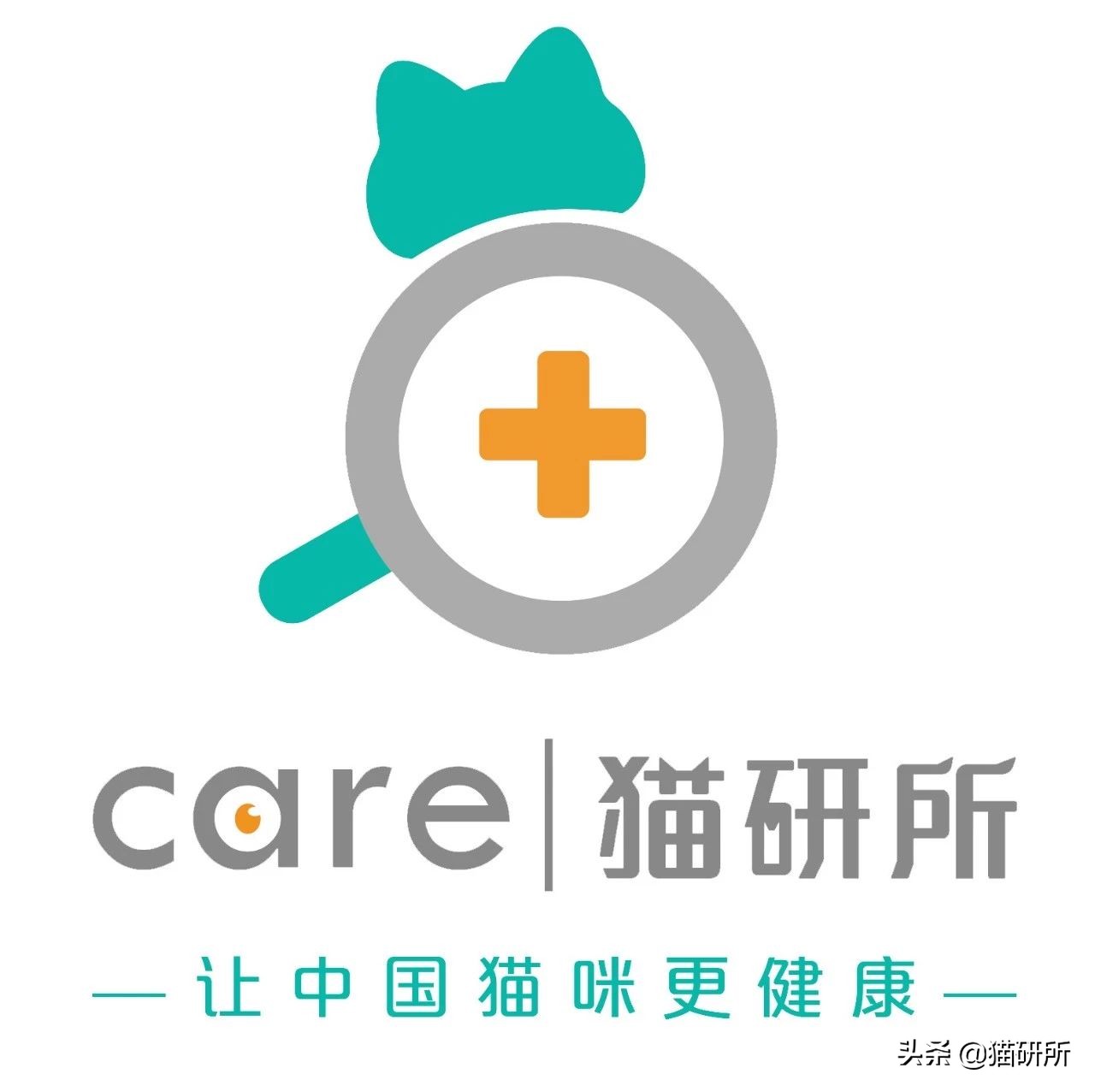 为啥有些猫不爱叫,为什么有的猫不爱喵喵叫