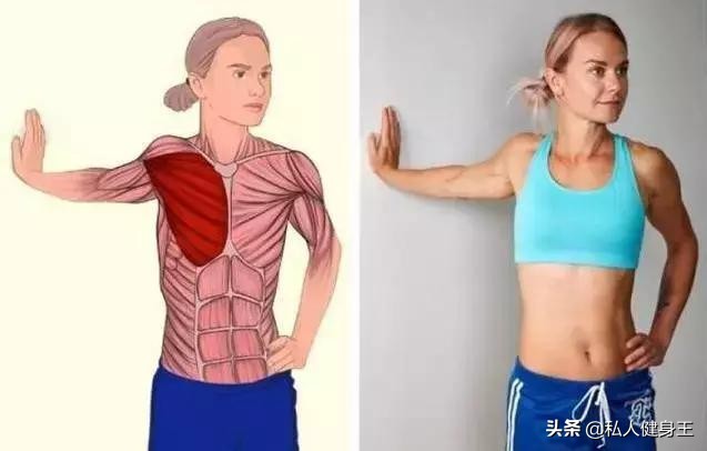 如何才能练出饱满的胸肌,五个动作教你如何练出饱满胸肌