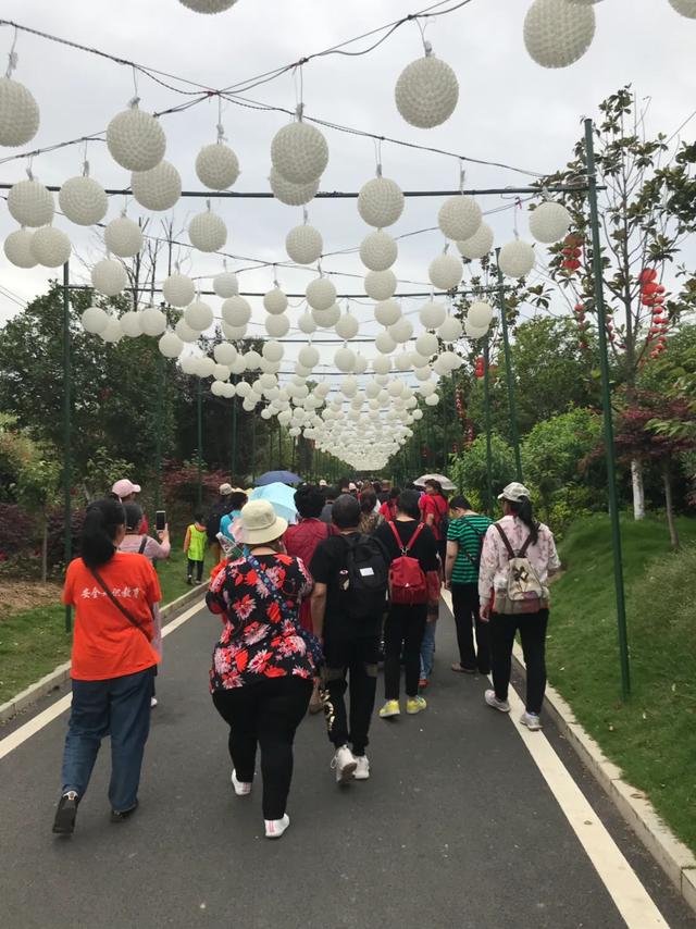 助残日社工活动,社工日公益活动