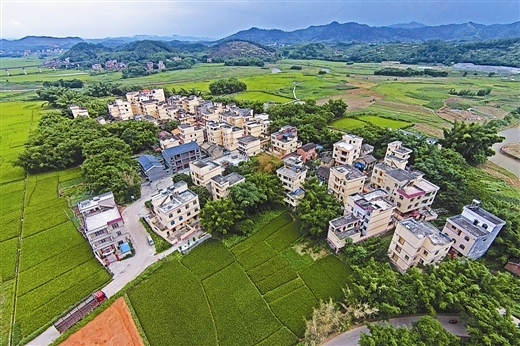 梧州市万秀区齐头并进多举措奋力攻坚清家底