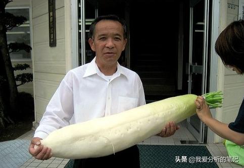 酵素的市场需求和痛点,酵素产品价格现状与预测