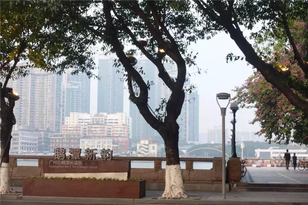 广州人熟悉的芳村，正在消失......