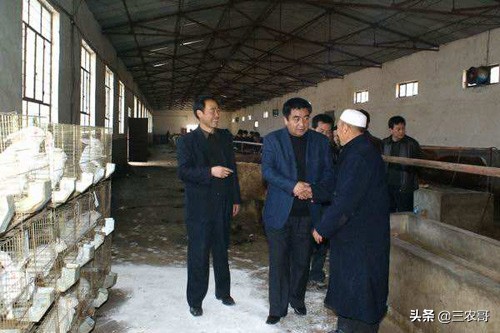 农村最缺什么生意项目可以做,农村做什么生意赚钱创业项目