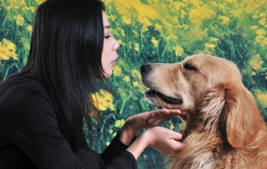 狗狗害怕打雷一直发抖应该怎么办,狗狗发抖不吃东西还呕吐怎么回事