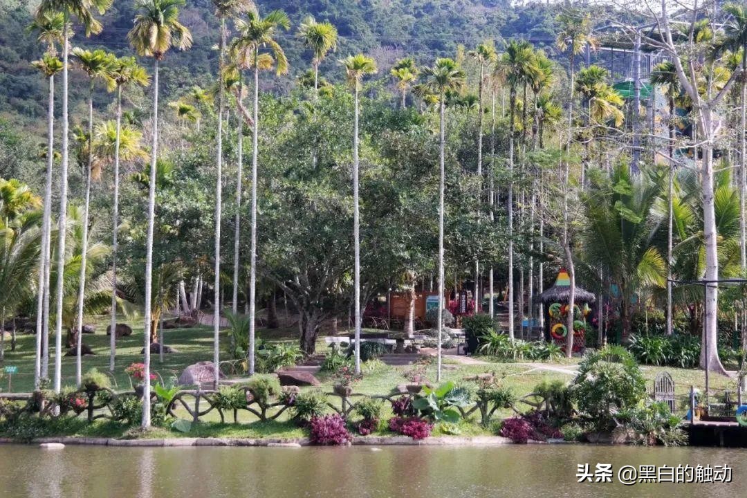 三亚必去的5大景点最新,三亚有哪些值得逛的地方