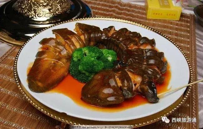 西峡龙潭沟娃娃鱼,西峡哪里做娃娃鱼好吃