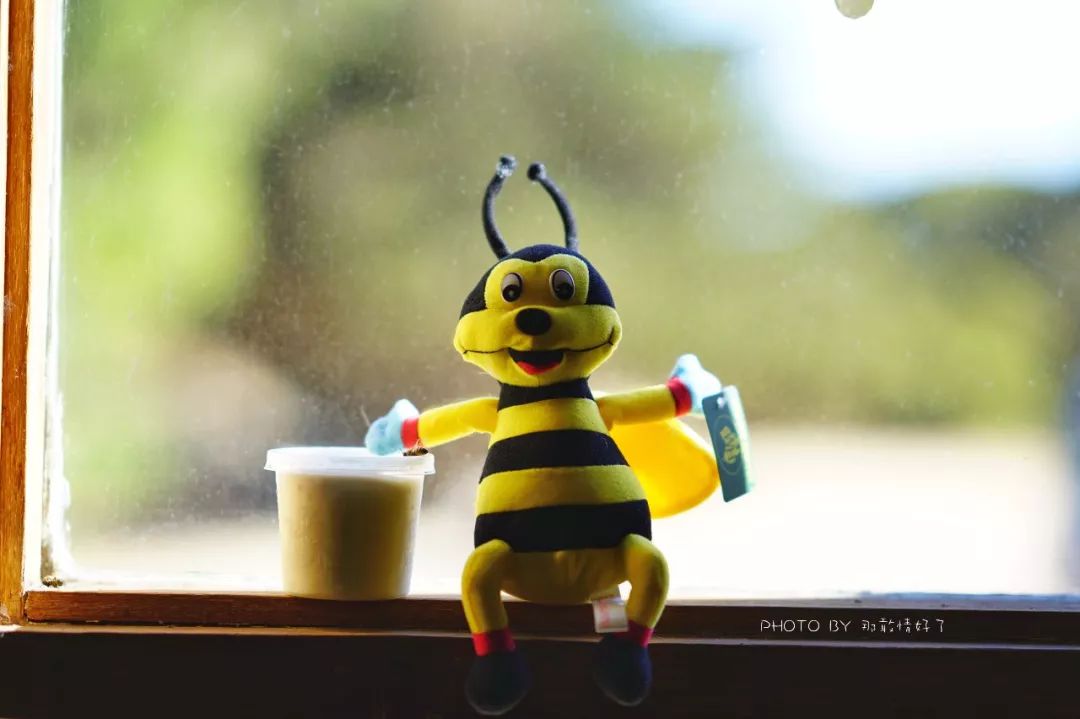 赴澳旅游注意,若带蜂蜜制品上岛,将被判两年监禁或8000澳元罚款