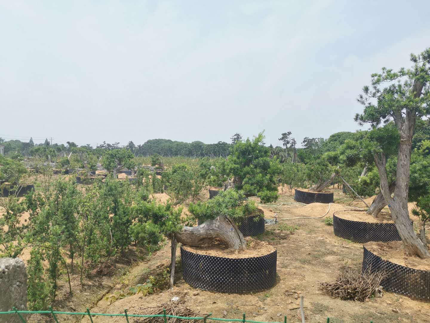 叹为观止自然风景,叹为观止高清图