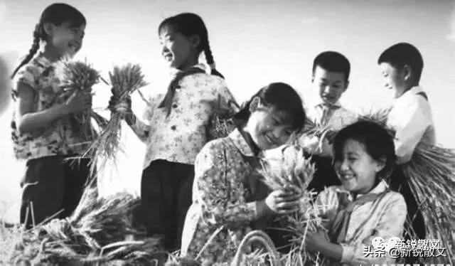 回忆一下生产队年代,回忆生产队的年代