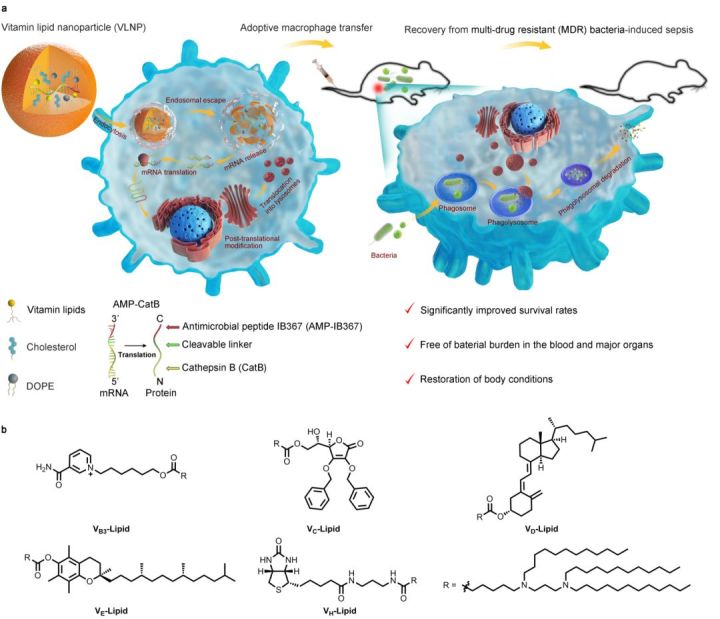 nature子刊新冠后遗症,nature子刊抗生素
