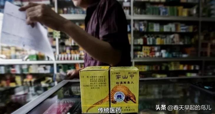 穿山甲报应,报应啊