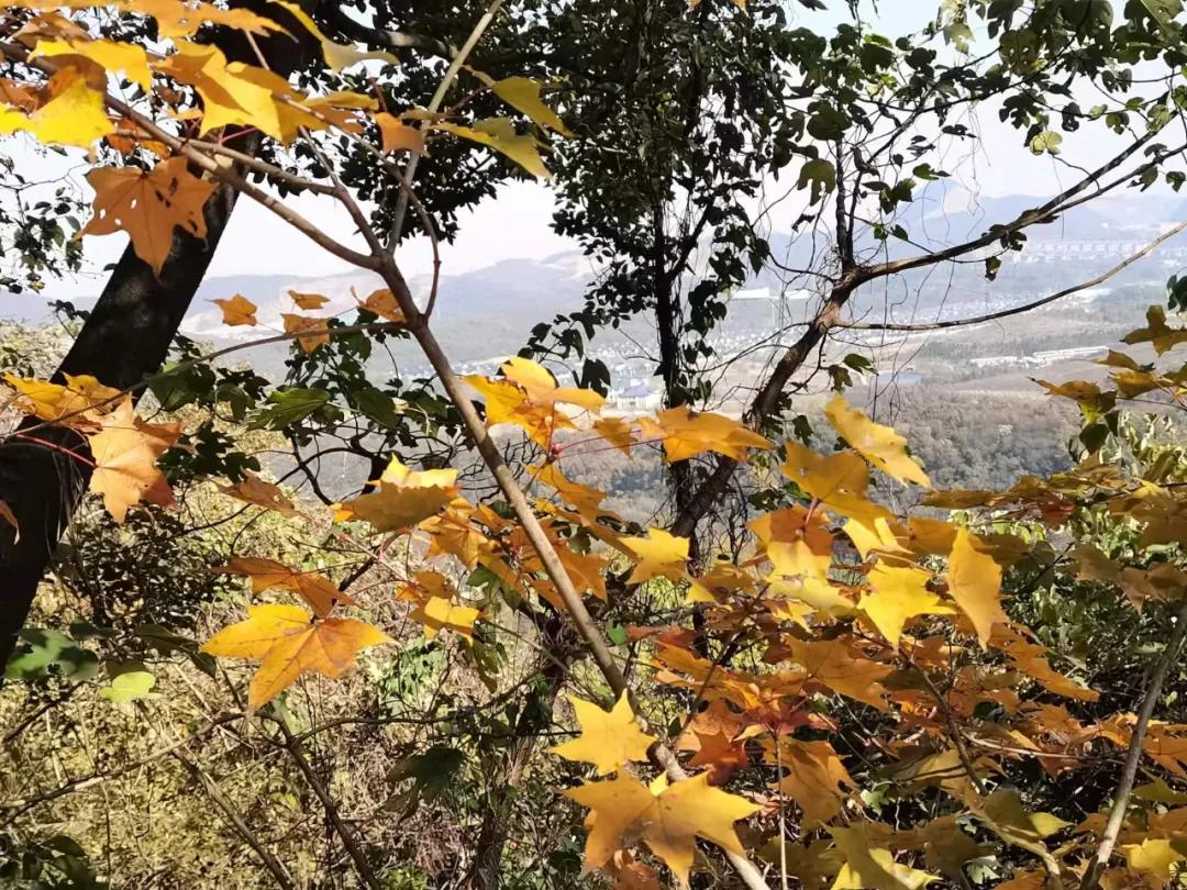 行走｜物华天宝宝华山