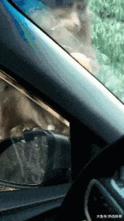 搞笑GIF：妹子，你在练什么呢，我去陪你啊