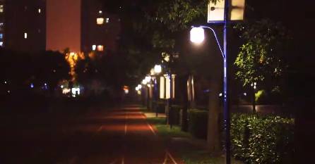 上海回不去的青春,上海市建平中学老照片