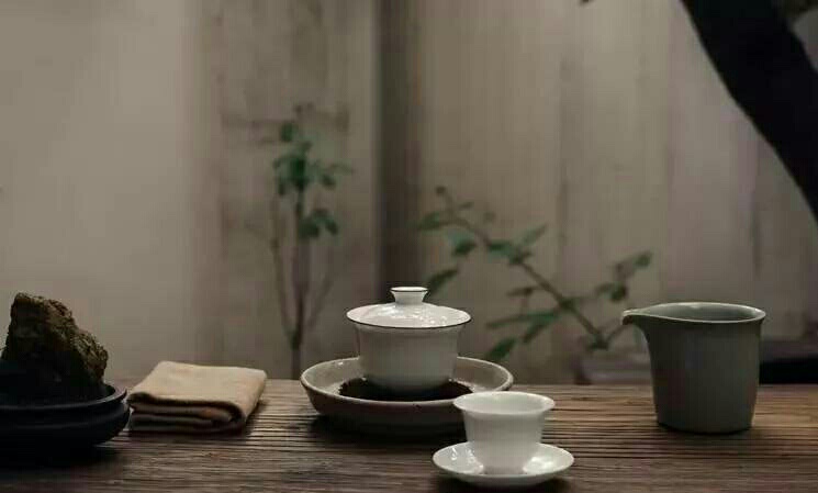 品牌普洱茶哪一款口粮茶性价比高,普洱茶大厂茶是哪些