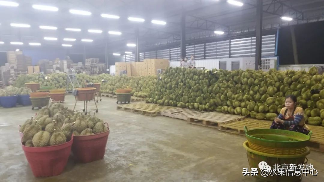 水果大王们生意经,水果生意经