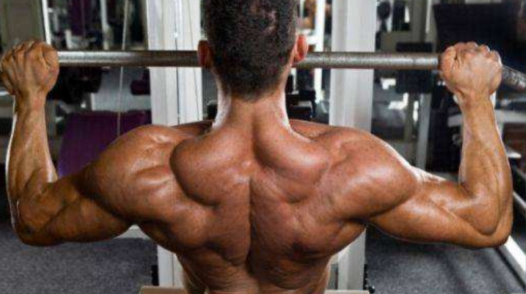 快速练出三角肌训练方法无器械,三角肌怎么练都不长