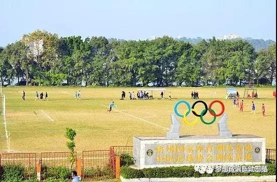 球队招募劲爆视频,正在举行的国际足球比赛