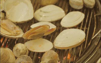 七月中下旬秦皇岛哪种海鲜正当季,秦皇岛海鲜推荐