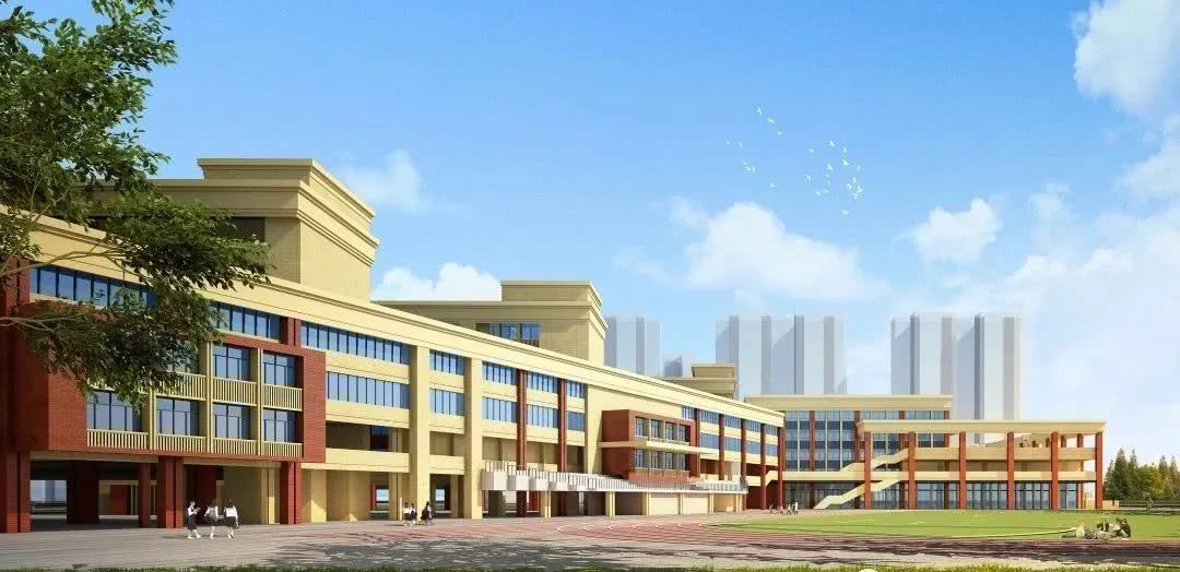 钟南山院士的大学母校,钟南山院士大学母校