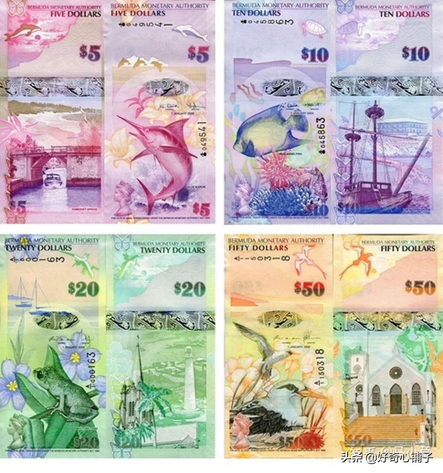 全球值得收藏的纸币,世界各国前五大超有趣纸币